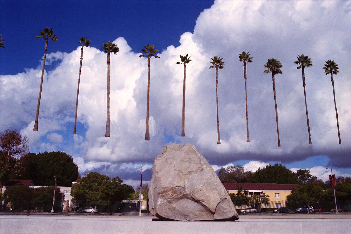 Levitated Mass of trees